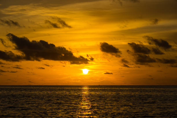 istock Sunset on the beach orange blue red 1128189333