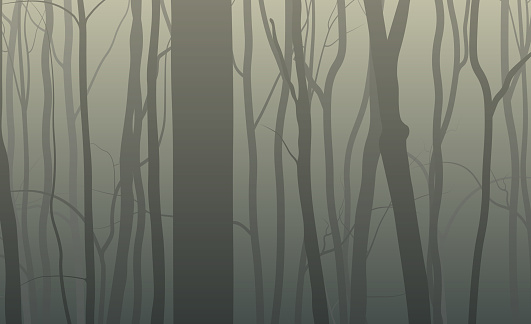 Forest trees silhouette background. Nature dark illustration