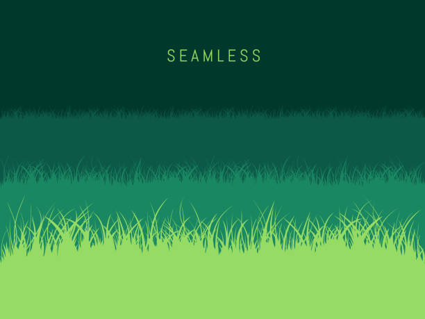 Grass Lawn Background Grass Lawn Background prairie stock illustrations