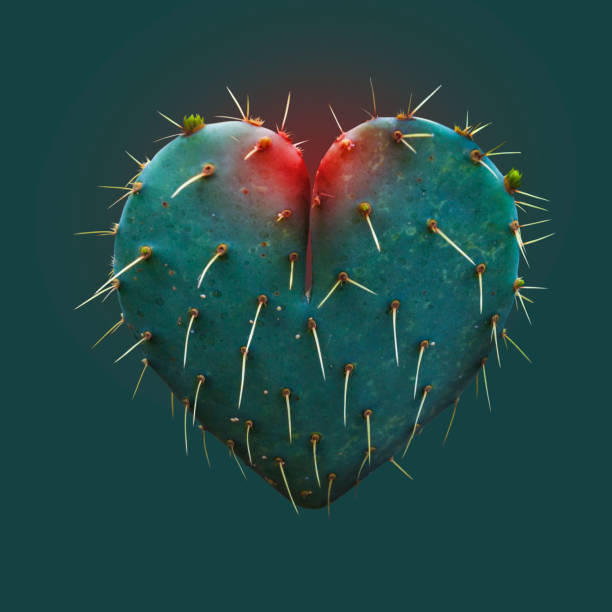 Cactus Leaf in the Shape of a Heart Symbol of Love - Hope - Concept cactus plant needle pattern stock pictures, royalty-free photos & images