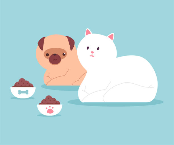 kot i pies siedzą w pobliżu misek z jedzeniem. wektor kreskówka płaska ilustracja zwierząt izolowanych na tle. - dog domestic cat pets cartoon stock illustrations