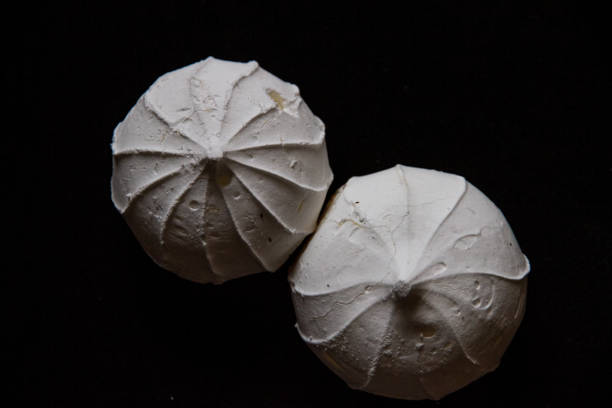 istock White meringue cake, marshmallow on a black background 1128201129