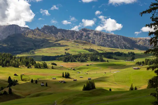 On the Alpe di Siusi in the Dolomites, Italy
