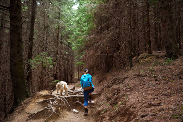 istock adventure with my dog 1128204771