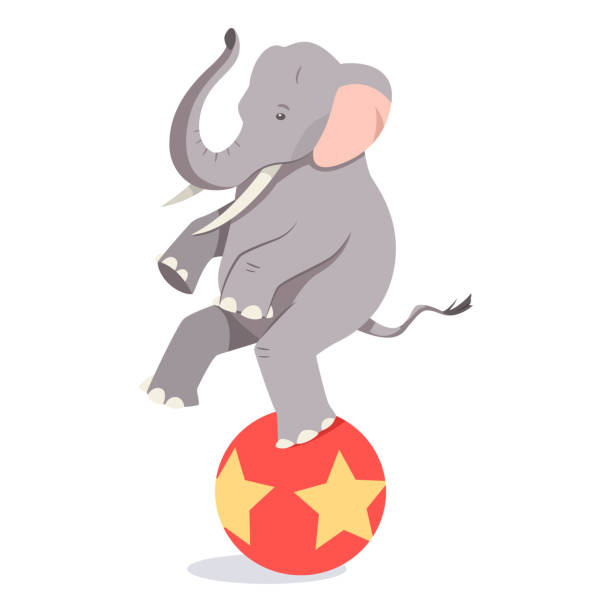 istock Elephant balances on the ball. Vector cartoon circus animal character isolated on white background. 1128205048