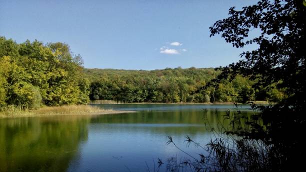 istock Landscape. Lake in the forest 1128211113