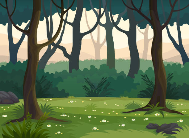 ilustrações, clipart, desenhos animados e ícones de ilustração em vetor verão verde floresta paisagem. - floresta