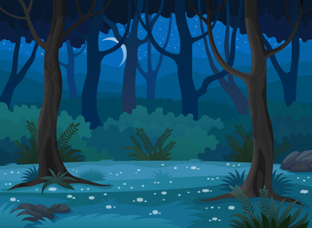Night forest landscape vector background. Summer forest glade at night with flowers, lush trees and crescent in the sky. moonlight illustrations stock illustrations
