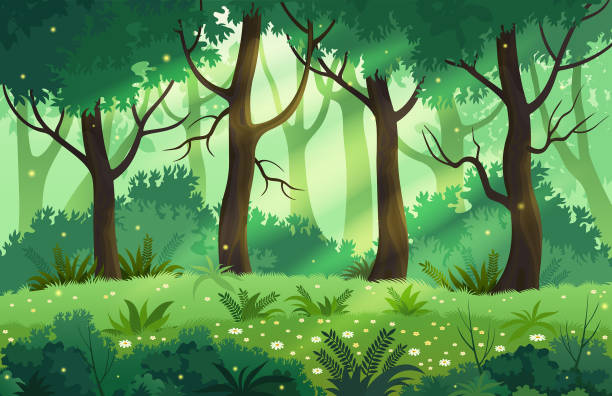illustrazioni stock, clip art, cartoni animati e icone di tendenza di illustrazione vettoriale del paesaggio della foresta fantasy estiva. - foresta illustrazioni
