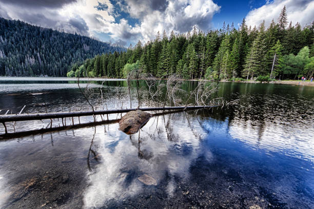 istock Glacial Black Lake surrounded by the forest 1128213026