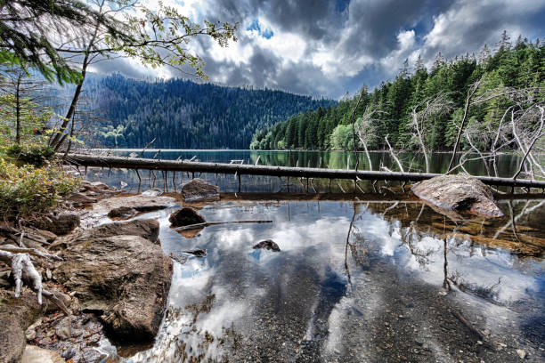 istock Glacial Black Lake surrounded by the forest 1128213405