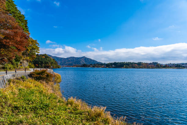 istock Scenic View Of Lake Against Blue Sky 1128216695