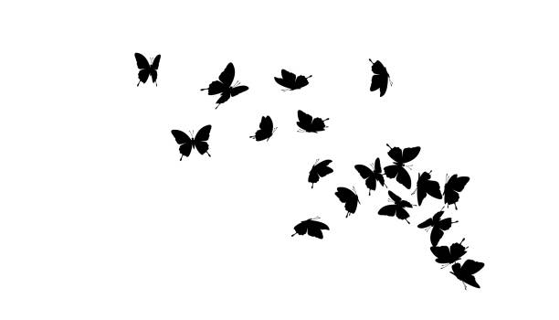 illustrazioni stock, clip art, cartoni animati e icone di tendenza di farfalle volanti. elemento di decorazione vettoriale. - sciame di insetti