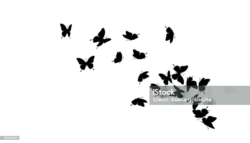 Flying butterflies. Vector decoration element. Flying butterflies silhouettes. Vector design element. Butterfly - Insect stock vector