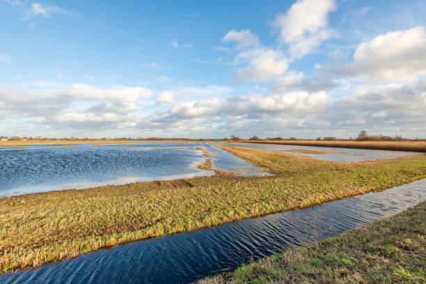 istock Dutch polder landscape in winter 1128219182