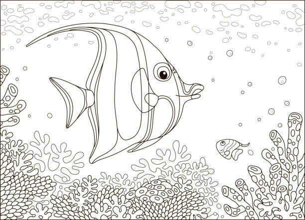 ilustraciones, imágenes clip art, dibujos animados e iconos de stock de pez mariposa sobre corales de colores - tropical fish saltwater fish butterflyfish fish