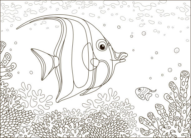 illustrazioni stock, clip art, cartoni animati e icone di tendenza di pesce farfalla su coralli colorati - beauty in nature coral angelfish fish