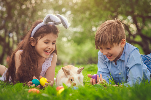 Happy little boy and girl playing with bunny in park on Easter egg hunt