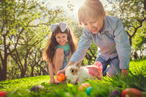 Happy little boy and girl playing with bunny in park on Easter egg hunt