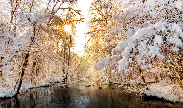 Sunbathing in the winter river Munich Winter Wonderland in the Nymphenburg Palace Park sonne stock pictures, royalty-free photos & images