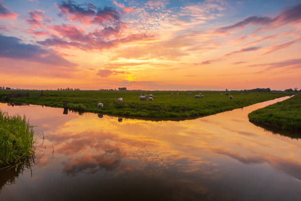 istock Colorful sunset with sunpillar above agraric landscape. 1128226693