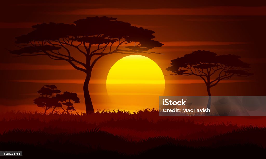 Savanna landscape vector illustration. Sunset in Africa. Sunset stock vector