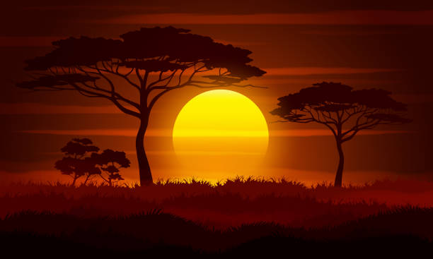 Savanna landscape vector illustration. Sunset in Africa. nature silhouettes stock illustrations