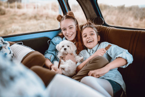 sorelle carine in posa con il loro cagnolino in un'auto d'epoca - cane sugar foto e immagini stock