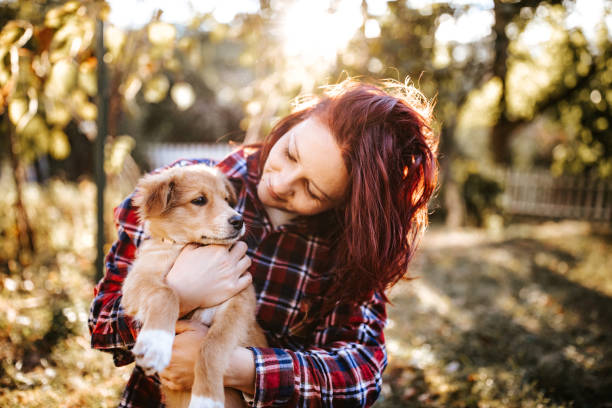 istock Woman playing with dog in backyard 1128236750