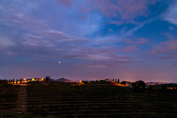istock Evening in the vineyard of Rosazzo during a moon eclipse 1128237014