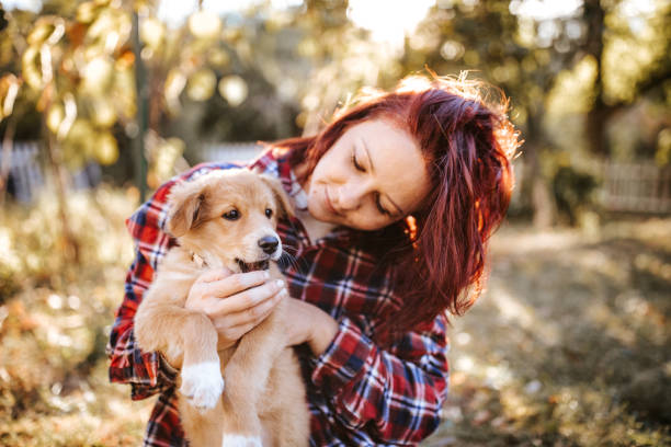 istock Woman playing with dog in backyard 1128237081