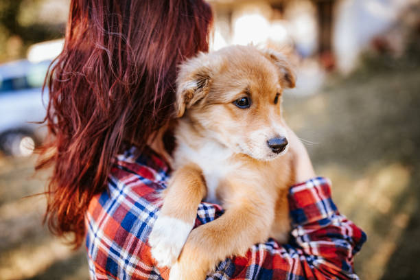 istock Daily dose of tenderness 1128237209