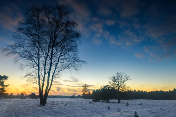 istock Sunset over a snowy winter landscape during a cold winter day 1128237528