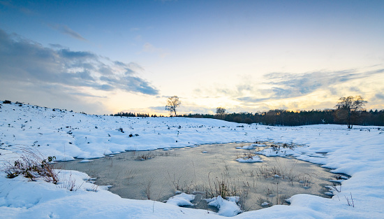 Sunset over a snowy winter landscape during a cold winter day with fresh snowfall in the Veluwe Nature reserve.
