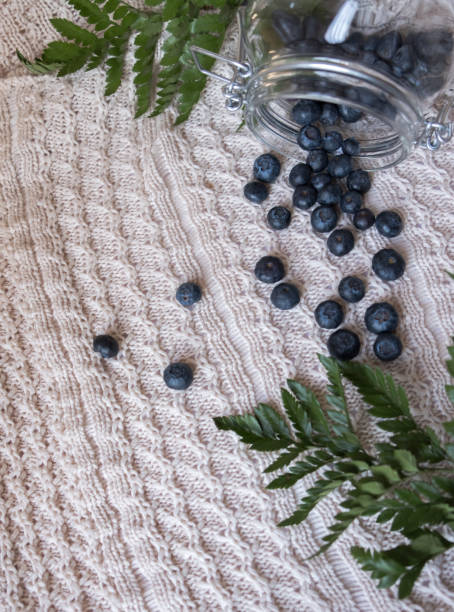 Blueberries with fern leaves and crochet stock photo