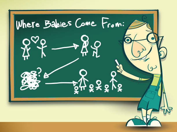 Where babies come from vector art illustration