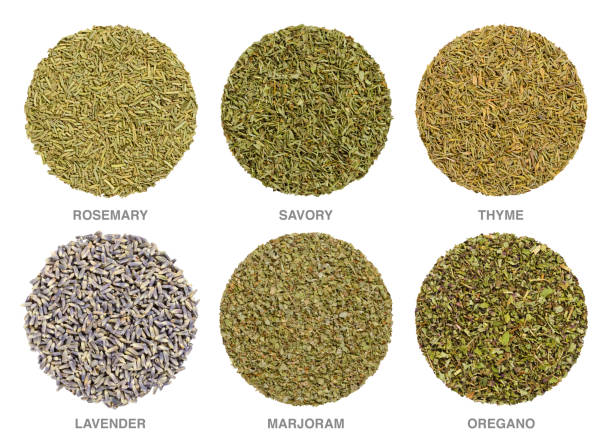 istock Culinary herbs for Herbes de Provence, herbal circles 1128243612