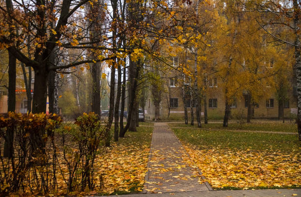 istock Autumn, city park.  Trees with yellow leaves. 1128244499