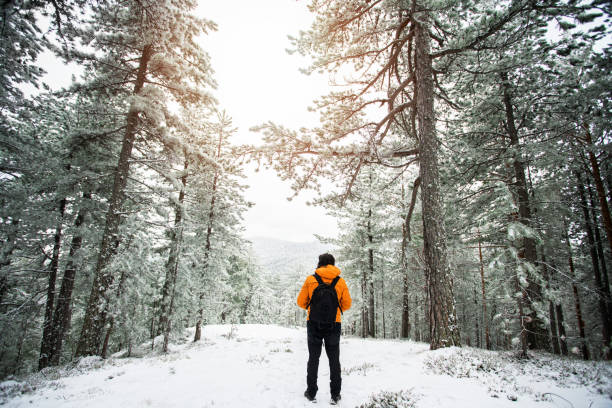 istock Male traveler at mountain forest 1128247810