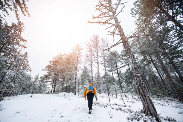 istock Male traveler at mountain forest 1128247812