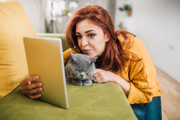 istock Girl with a cat looking at tablet 1128251523