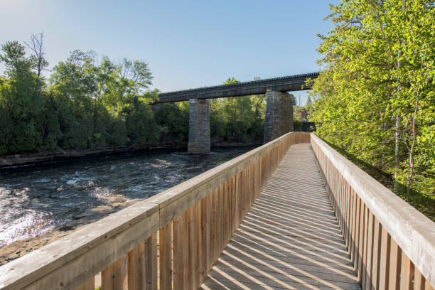 istock Wooden walking trail 1128252755