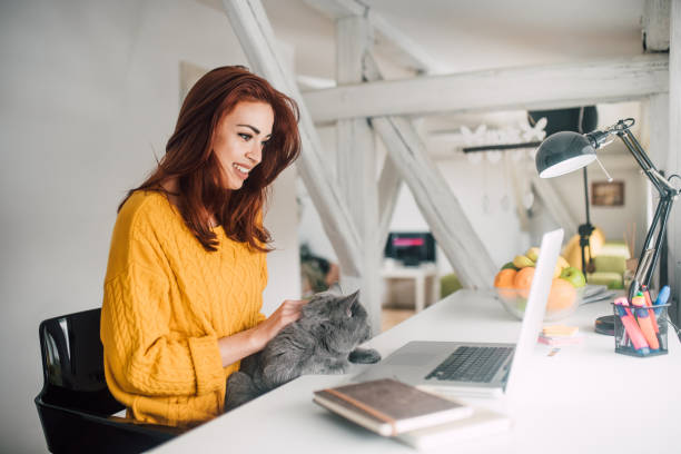 istock Smiling girl using laptop and stroking a cat 1128253483