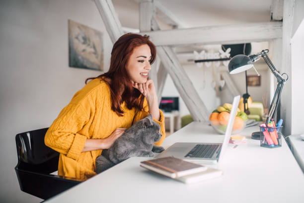 istock Woman holding a cat and using laptop 1128253485