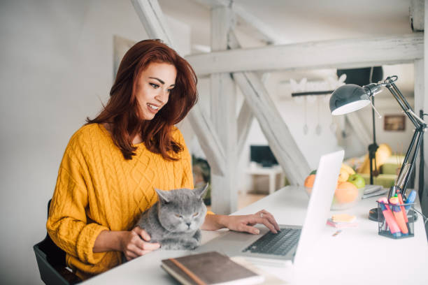 istock girl with a cat using laptop 1128253494