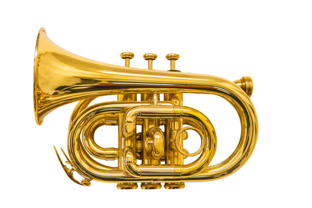 trąbka kieszonkowa odizolowana na białym - trumpet jazz bugle brass instrument zdjęcia i obrazy z banku zdjęć