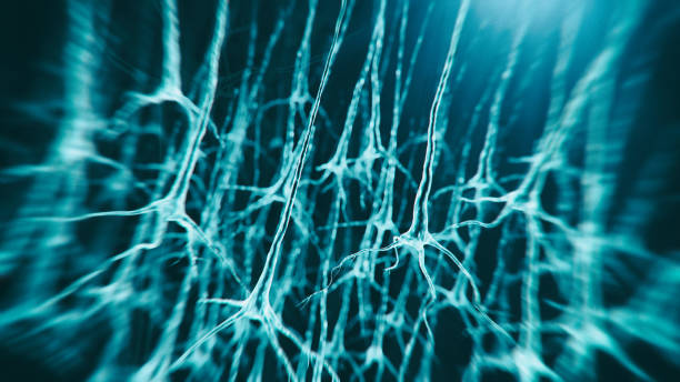 Neuron system Neuron cells system - 3d rendered image of Neuron cell network on black background. Hologram view  interconnected neurons cells with electrical pulses. Conceptual medical image.  Glowing synapse.  Healthcare concept. axon terminal stock pictures, royalty-free photos & images