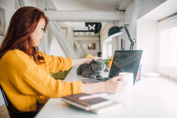 istock Girl stroking cat and using laptop 1128255981