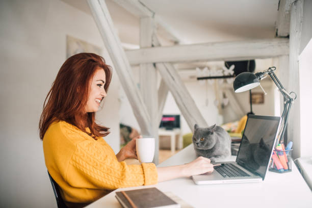istock Cat looking at girl using laptop 1128256020