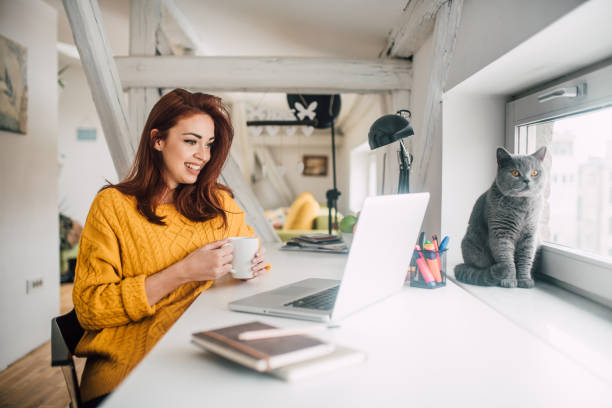 Happy young redhead working on a laptop Smiling young redhead holding a cup of coffee while working on her laptop in her home office with a cat sitting in a window purebred cat stock pictures, royalty-free photos & images